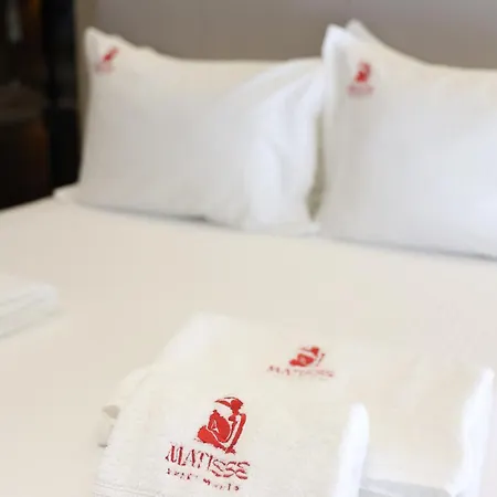 Matisse No21 - Luxury One Bedroom With Parking Daire Tiran