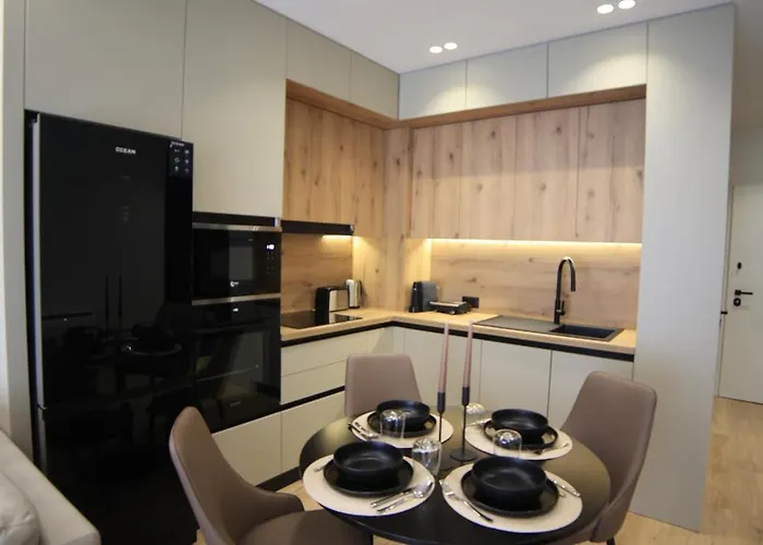 公寓 Matisse No21 - Luxury One Bedroom With Parking 地拉那